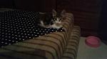     
: PLDPIPB5a34.jpg
: 8
:	84.5 
ID:	10416721