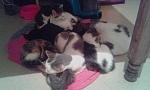     
: VgC2_eKZNZ4.jpg
: 11
:	171.4 
ID:	10416726