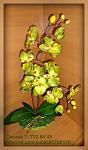     
: DSC007031.jpg
: 4
:	75.5 
ID:	10416996