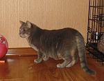     
: DSC00396.jpg
: 13
:	150.7 
ID:	10421330