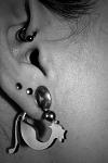     
: ir2E3gU5OnA.jpg
: 92
:	72.7 
ID:	10436492