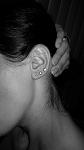     
: 20151017_214013.jpg
: 14
:	49.6 
ID:	10447677