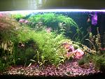     
: GEDC2185.JPG
: 20
:	132.3 
ID:	10448383