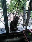     
: IMG_20151018_172330.jpg
: 14
:	147.4 
ID:	10450276
