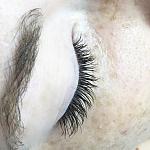     
: IMG_7094.jpg
: 9
:	101.3 
ID:	10450576