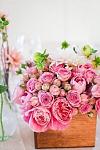     
: image.jpg
: 24
:	60.9 
ID:	10462429