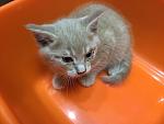     
: IMG_0632.jpg
: 20
:	89.2 
ID:	10468529