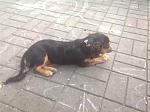     
: image.jpg
: 17
:	138.0 
ID:	10469482