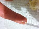     
: IMG_4072.JPG
: 114
:	246.0 
ID:	10469596