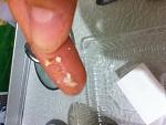    
: IMG_4073.JPG
: 70
:	265.0 
ID:	10469597