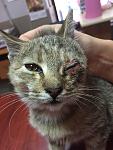     
: IMG_0639.jpg
: 19
:	98.7 
ID:	10472603