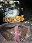     
: IMG_0649.jpg
: 2
:	111.8 
ID:	10482242