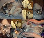     
: collage.jpg
: 20
:	165.5 
ID:	10488110