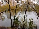     
: ImageUploadedByTapatalk1446032283.054692.jpg
: 35
:	41.7 
ID:	10488492