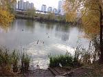     
: ImageUploadedByTapatalk1446032496.420497.jpg
: 32
:	40.9 
ID:	10488511