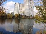     
: ImageUploadedByTapatalk1446033640.115960.jpg
: 33
:	43.1 
ID:	10488567