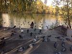     
: ImageUploadedByTapatalk1446033843.976996.jpg
: 34
:	40.3 
ID:	10488577
