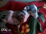     
: pNS6H1QUA1s.jpg
: 8
:	23.9 
ID:	10489778