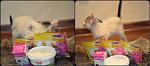    
: collage2.jpg
: 11
:	64.8 
ID:	10491507