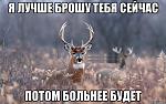     
: naivnyy-olen_45326216_orig_.jpeg
: 20
:	140.9 
ID:	10495655