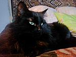     
: 20151003_173851.jpg
: 2
:	158.0 
ID:	10498060