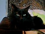     
: 20151003_173820.jpg
: 4
:	138.4 
ID:	10498062