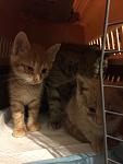     
: IMG_0659.jpg
: 4
:	61.2 
ID:	10498958