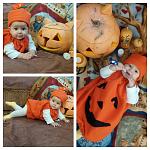     
: 2015-10-31_12.14.52.jpg
: 85
:	126.0 
ID:	10498992
