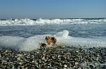     
: 20151031_132736(2).jpg
: 30
:	239.6 
ID:	10499753
