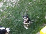     
: IMG00247-20150512-1922.jpg
: 16
:	205.1 
ID:	10501139