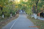     
: DSC_1126.jpg
: 21
:	226.6 
ID:	10502756