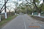     
: DSC_1135.jpg
: 26
:	242.8 
ID:	10502758