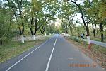    
: DSC_1138.jpg
: 26
:	250.4 
ID:	10502774
