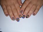     
: PA260035.jpg
: 14
:	72.7 
ID:	10504110