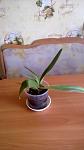     
: WP_20150626_002.jpg
: 60
:	51.8 
ID:	10508937