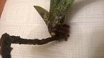     
: WP_20151102_002.jpg
: 58
:	74.2 
ID:	10508940