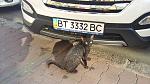     
: 20151103_095650.jpg
: 24
:	146.2 
ID:	10511056