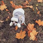     
: 3rMxUQIWfYo.jpg
: 11
:	158.7 
ID:	10512793