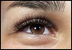     
: 20150727_115902.jpg
: 6
:	139.6 
ID:	10513874