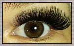     
: 20150913_121948.jpg
: 6
:	137.1 
ID:	10513877