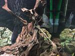     
: IMG_0476.JPG
: 14
:	163.8 
ID:	10515552