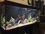     
: IMG_0472.JPG
: 17
:	128.4 
ID:	10515553