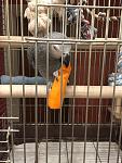     
: IMG_0125 (4).jpg
: 7
:	109.4 
ID:	10516029