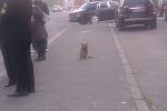    
: IMAG0137.jpg
: 14
:	72.1 
ID:	10518973