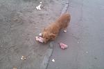     
: IMAG0134.jpg
: 22
:	118.9 
ID:	10518974