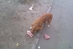     
: IMAG0133.jpg
: 14
:	118.6 
ID:	10518975