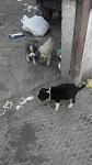     
: A8Utul_Mqq0.jpg
: 13
:	45.8 
ID:	10519321