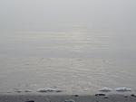     
: IMG_2665.jpg
: 14
:	61.0 
ID:	10520503