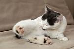     
: wTE_Fe9sW-SvBk2D_olpULY9-elFV_lWhbBaltUu99M,mpUeOPLOwQG1gwitWyfq0N27x_AOo-miFu-Y16ARMcc.jpeg
: 17
:	37.8 
ID:	10523137