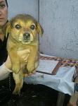     
: fpTHN3725Ek.jpg
: 16
:	50.0 
ID:	10523601